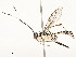  ( - CBG-A54517-F09)  @11 [ ] CreativeCommons - Attribution Share - Alike (2024) CBG Photography Group Centre for Biodiversity Genomics