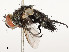  ( - CBG-A58577-A07)  @11 [ ] CreativeCommons - Attribution Share - Alike (2024) CBG Photography Group Centre for Biodiversity Genomics