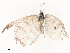  ( - CBG-A58577-C12)  @11 [ ] CreativeCommons - Attribution Share - Alike (2024) CBG Photography Group Centre for Biodiversity Genomics