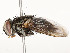  ( - CBG-A58578-A07)  @11 [ ] CreativeCommons - Attribution Share - Alike (2024) CBG Photography Group Centre for Biodiversity Genomics