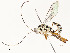  ( - CBG-A58578-E05)  @11 [ ] CreativeCommons - Attribution Share - Alike (2024) CBG Photography Group Centre for Biodiversity Genomics