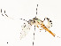  ( - CBG-A58579-G11)  @11 [ ] CreativeCommons - Attribution Share - Alike (2024) CBG Photography Group Centre for Biodiversity Genomics