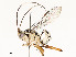  ( - CBG-A58580-H04)  @11 [ ] CreativeCommons - Attribution Share - Alike (2024) CBG Photography Group Centre for Biodiversity Genomics