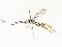  ( - CBG-A58580-H05)  @11 [ ] CreativeCommons - Attribution Share - Alike (2024) CBG Photography Group Centre for Biodiversity Genomics