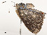  ( - CBG-A58581-B10)  @11 [ ] CreativeCommons - Attribution Share - Alike (2024) CBG Photography Group Centre for Biodiversity Genomics