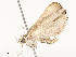  ( - CBG-A58581-C11)  @11 [ ] CreativeCommons - Attribution Share - Alike (2024) CBG Photography Group Centre for Biodiversity Genomics