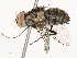  ( - CBG-A58585-B12)  @11 [ ] CreativeCommons - Attribution Share - Alike (2024) CBG Photography Group Centre for Biodiversity Genomics