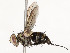  ( - CBG-A58586-A04)  @11 [ ] CreativeCommons - Attribution Share - Alike (2024) CBG Photography Group Centre for Biodiversity Genomics