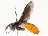  ( - CBG-A58586-B01)  @11 [ ] CreativeCommons - Attribution Share - Alike (2024) CBG Photography Group Centre for Biodiversity Genomics