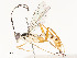  ( - CBG-A58586-C02)  @11 [ ] CreativeCommons - Attribution Share - Alike (2024) CBG Photography Group Centre for Biodiversity Genomics