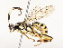  ( - CBG-A58586-G02)  @11 [ ] CreativeCommons - Attribution Share - Alike (2024) CBG Photography Group Centre for Biodiversity Genomics
