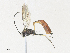  ( - CBG-A34307-F10)  @11 [ ] CreativeCommons - Attribution Share - Alike (2024) CBG Photography Group Centre for Biodiversity Genomics