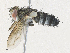  ( - CBG-A34307-G02)  @11 [ ] CreativeCommons - Attribution Share - Alike (2024) CBG Photography Group Centre for Biodiversity Genomics