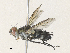  ( - CBG-A34307-G05)  @11 [ ] CreativeCommons - Attribution Share - Alike (2024) CBG Photography Group Centre for Biodiversity Genomics