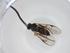  (Dolichogenidea tristanpalolai - CBG-A34455-G07)  @11 [ ] CreativeCommons - Attribution Share - Alike (2024) Centre for Biodiversity Genomics Centre for Biodiversity Genomics