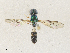  ( - CBG-A35157-B05)  @11 [ ] CreativeCommons - Attribution Share - Alike (2024) CBG Photography Group Centre for Biodiversity Genomics