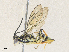  ( - CBG-A35157-C03)  @11 [ ] CreativeCommons - Attribution Share - Alike (2024) CBG Photography Group Centre for Biodiversity Genomics