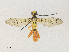  ( - CBG-A35157-F04)  @11 [ ] CreativeCommons - Attribution Share - Alike (2024) CBG Photography Group Centre for Biodiversity Genomics