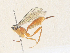  ( - CBG-A35160-E01)  @11 [ ] CreativeCommons - Attribution Share - Alike (2024) CBG Photography Group Centre for Biodiversity Genomics