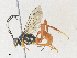  ( - CBG-A35160-E10)  @11 [ ] CreativeCommons - Attribution Share - Alike (2024) CBG Photography Group Centre for Biodiversity Genomics