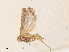  ( - CBG-A35161-H07)  @11 [ ] CreativeCommons - Attribution Share - Alike (2024) CBG Photography Group Centre for Biodiversity Genomics