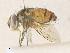  ( - CBG-A35161-H09)  @11 [ ] CreativeCommons - Attribution Share - Alike (2024) CBG Photography Group Centre for Biodiversity Genomics