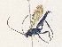  ( - CBG-A35191-D02)  @11 [ ] CreativeCommons - Attribution Share - Alike (2024) CBG Photography Group Centre for Biodiversity Genomics