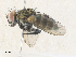  ( - CBG-A35191-E02)  @11 [ ] CreativeCommons - Attribution Share - Alike (2024) CBG Photography Group Centre for Biodiversity Genomics