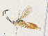  ( - CBG-A35191-E03)  @11 [ ] CreativeCommons - Attribution Share - Alike (2024) CBG Photography Group Centre for Biodiversity Genomics