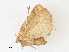  ( - CBG-A35191-E10)  @11 [ ] CreativeCommons - Attribution Share - Alike (2024) CBG Photography Group Centre for Biodiversity Genomics