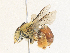  ( - CBG-A35192-C01)  @11 [ ] CreativeCommons - Attribution Share - Alike (2024) CBG Photography Group Centre for Biodiversity Genomics