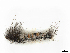  ( - CBG-A35196-H10)  @11 [ ] CreativeCommons - Attribution Share-Alike (2024) CBG Photography Group Centre for Biodiversity Genomics