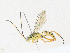  ( - CBG-A36713-A10)  @11 [ ] CreativeCommons - Attribution Share - Alike (2024) CBG Photography Group Centre for Biodiversity Genomics