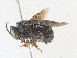  ( - CBG-A36713-A12)  @11 [ ] CreativeCommons - Attribution Share - Alike (2024) CBG Photography Group Centre for Biodiversity Genomics