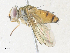  ( - CBG-A36715-D09)  @11 [ ] CreativeCommons - Attribution Share - Alike (2024) CBG Photography Group Centre for Biodiversity Genomics