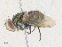  ( - CBG-A36716-G02)  @11 [ ] CreativeCommons - Attribution Share - Alike (2024) CBG Photography Group Centre for Biodiversity Genomics