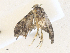  ( - CBG-A36719-D01)  @11 [ ] CreativeCommons - Attribution Share - Alike (2024) CBG Photography Group Centre for Biodiversity Genomics