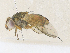  ( - CBG-A36720-D07)  @11 [ ] CreativeCommons - Attribution Share - Alike (2024) CBG Photography Group Centre for Biodiversity Genomics