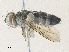  ( - CBG-A36866-B08)  @11 [ ] CreativeCommons - Attribution Share - Alike (2024) CBG Photography Group Centre for Biodiversity Genomics