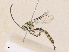  ( - CBG-A36866-H04)  @11 [ ] CreativeCommons - Attribution Share - Alike (2024) CBG Photography Group Centre for Biodiversity Genomics