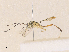  ( - CBG-A36866-H05)  @11 [ ] CreativeCommons - Attribution Share - Alike (2024) CBG Photography Group Centre for Biodiversity Genomics