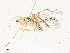  ( - CBG-A36870-C01)  @11 [ ] CreativeCommons - Attribution Share - Alike (2024) CBG Photography Group Centre for Biodiversity Genomics