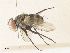  ( - CBG-A36871-H06)  @11 [ ] CreativeCommons - Attribution Share - Alike (2024) CBG Photography Group Centre for Biodiversity Genomics