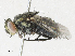  ( - CBG-A30962-E10)  @11 [ ] CreativeCommons - Attribution Share - Alike (2024) CBG Photography Group Centre for Biodiversity Genomics