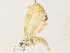  ( - CBG-A31778-G06)  @11 [ ] CreativeCommons - Attribution Share - Alike (2024) CBG Photography Group Centre for Biodiversity Genomics