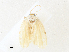 ( - CBG-A31780-D10)  @11 [ ] CreativeCommons - Attribution Share - Alike (2024) CBG Photography Group Centre for Biodiversity Genomics