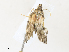  ( - CBG-A31836-B07)  @11 [ ] CreativeCommons - Attribution Share - Alike (2024) CBG Photography Group Centre for Biodiversity Genomics
