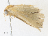  ( - CBG-A31836-E09)  @11 [ ] CreativeCommons - Attribution Share - Alike (2024) CBG Photography Group Centre for Biodiversity Genomics