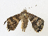  ( - CBG-A31837-A11)  @11 [ ] CreativeCommons - Attribution Share - Alike (2024) CBG Photography Group Centre for Biodiversity Genomics