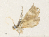  ( - CBG-A33499-G05)  @11 [ ] CreativeCommons - Attribution Share - Alike (2024) CBG Photography Group Centre for Biodiversity Genomics